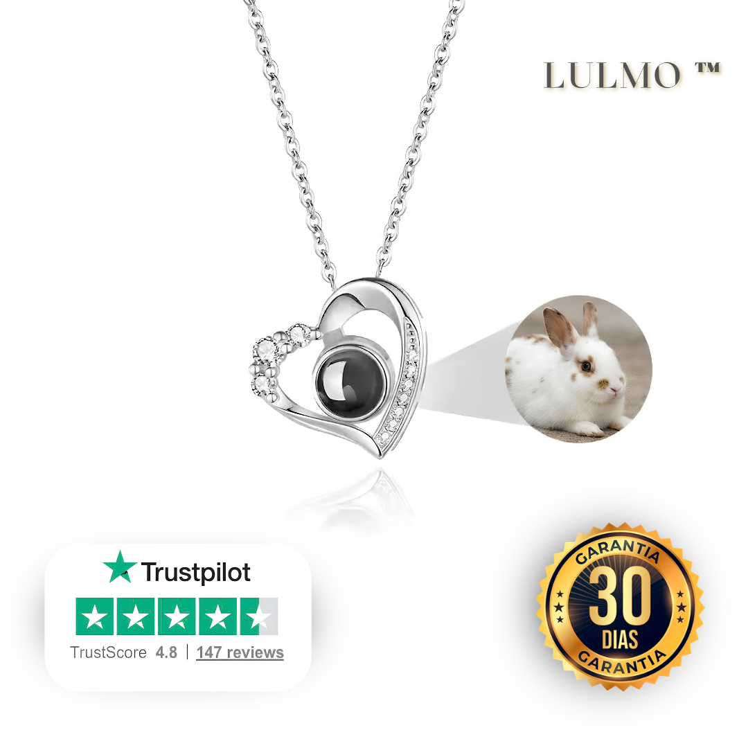 Lulmo™ — Collar Personalizable con Imagen Holográfica para Conejo
