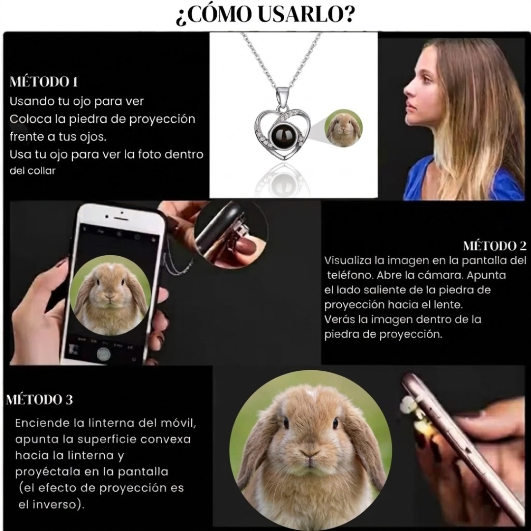 Lulmo™ — Collar Personalizable con Imagen Holográfica para Conejo