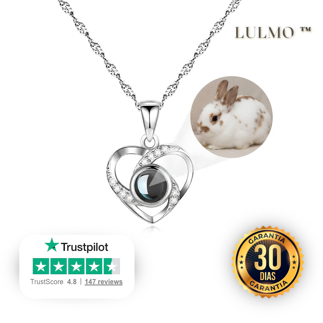 Lulmo™ — Collar Personalizable con Imagen Holográfica para Conejo