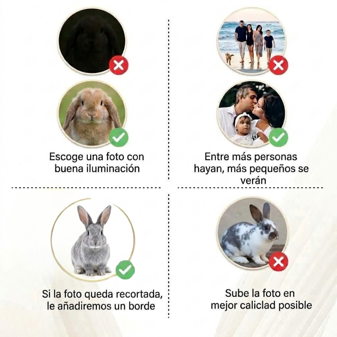 Lulmo™ — Collar Personalizable con Imagen Holográfica para Conejo