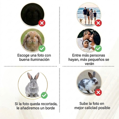 Lulmo™ — Collar Personalizable con Imagen Holográfica para Conejo